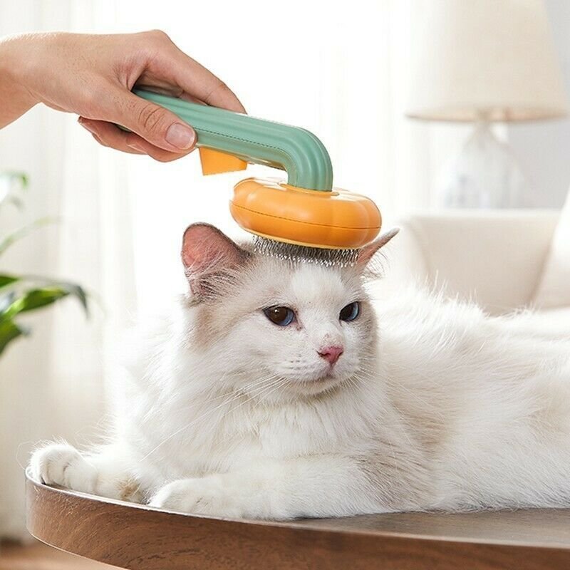 Pet Pumpkin Brush, Pet Grooming Self Cleaning Slicker Brush For Dogs Cats Puppy Rabbit, Cat Brush Grooming Gently Removes Loose Undercoat, Mats Tangled Hair Slicker Brush - Image 4